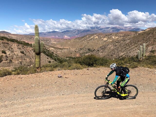 Fahrradfahrerin in der Quebrada de Humahuaca