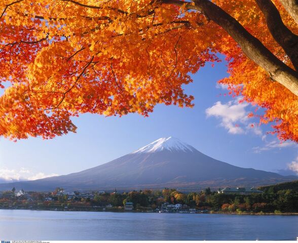 Fuji mit Herbstlaub