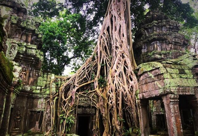 Tempelanlage Ta Prohm - Teil des UNESCO-Weltkulturerbes Angkor