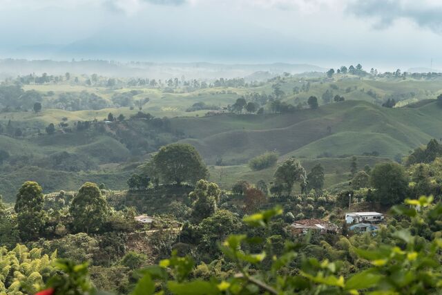 Zona Cafetera