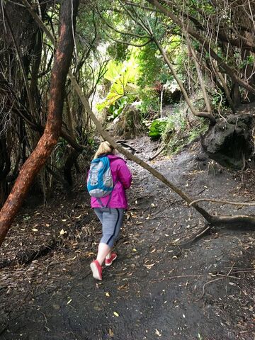 Wanderung im Regenwald