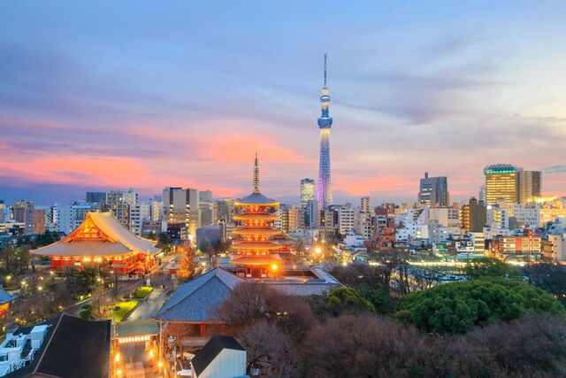 Blick auf Tokio skyline zum Sonnenuntergang in Japan