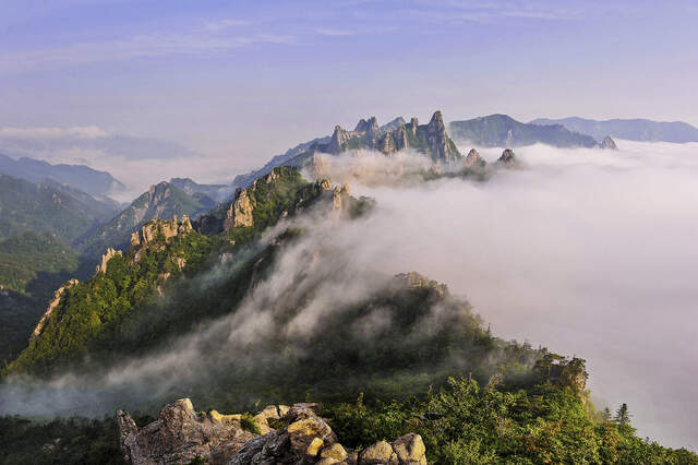 Mystischer Nebel im Seoraksan-Nationalpark