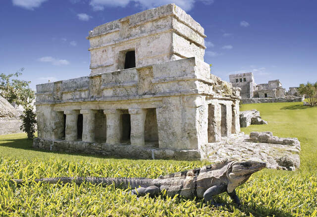 Iguana vor den Ruinen von Tulum