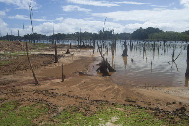 Am Brokopondo-Stausee, Suriname